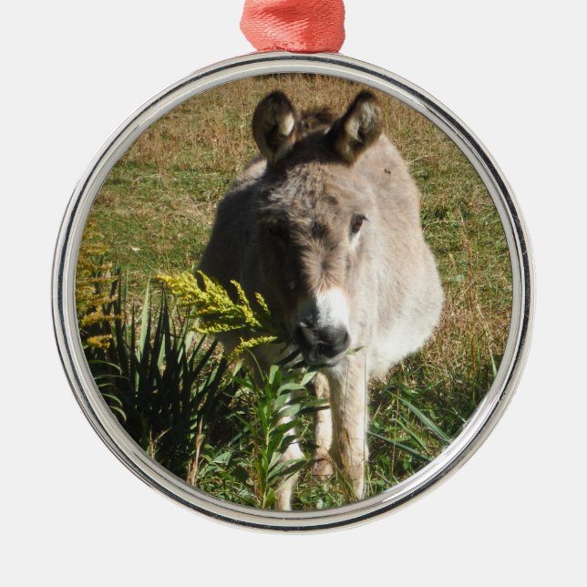 Donkey Picking Gelben Herbst Wildblumen Ornament Aus Metall (Vorne)