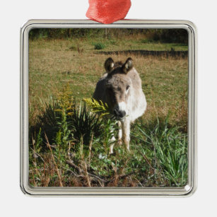 Donkey Picking Gelben Herbst Wildblumen Ornament Aus Metall
