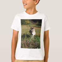 Donkey Picking Gelben Herbst Wildblumen