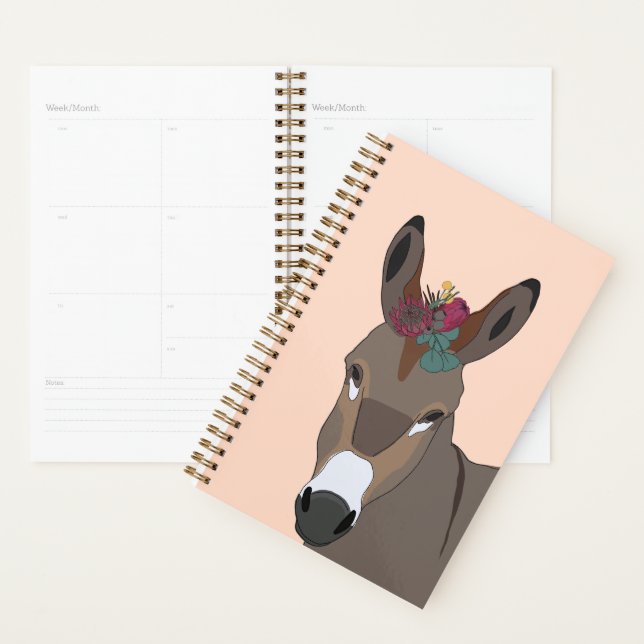 Donkey-Planer Planer (Anzeige)