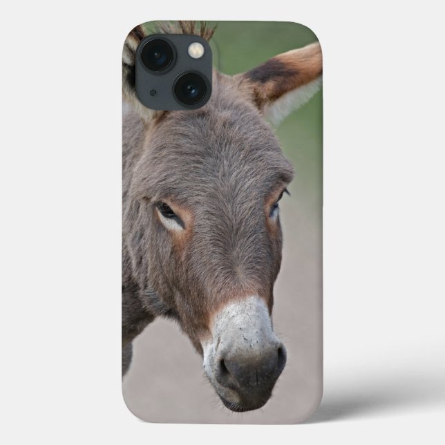 Donkey Portrait iPad Case (Rückseite)