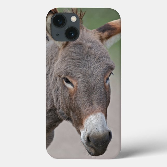 Donkey Portrait iPad Mini Fall Case-Mate iPhone Hülle (Rückseite)