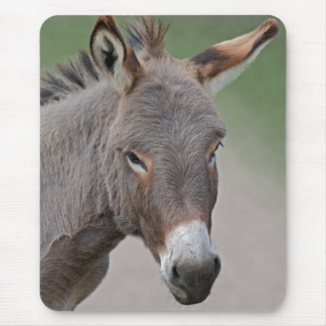 Donkey Portrait Mouse Mat Mousepad (Vorne)