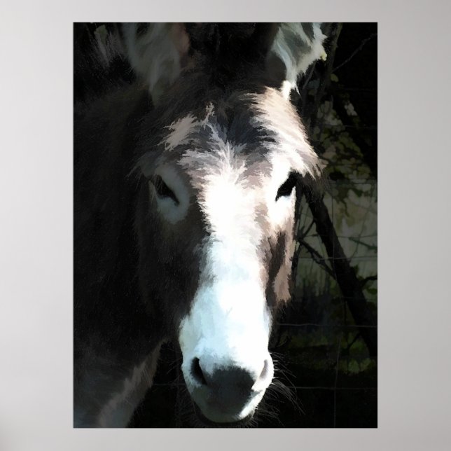 DONKEY POSTER (Vorne)