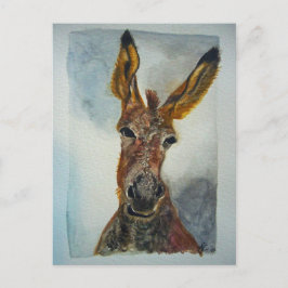 Donkey Postkarte