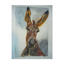 Donkey Postkarte