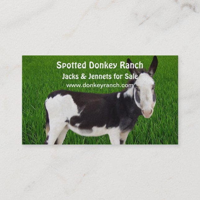 Donkey Ranch-Visitenkarte Visitenkarte (Vorderseite)