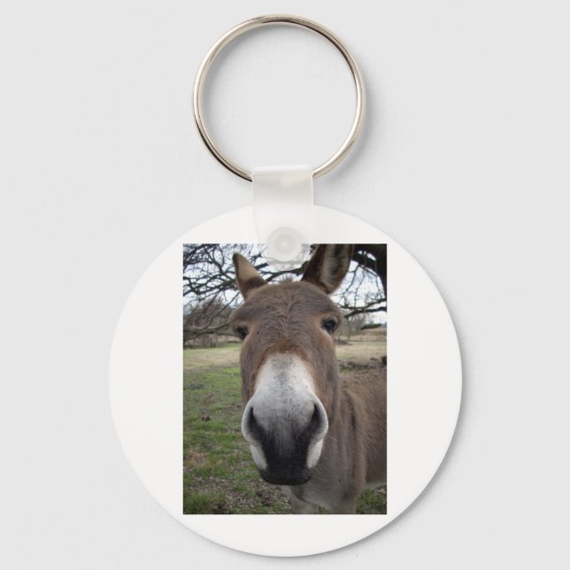 DONKEY SCHLÜSSELANHÄNGER (Vorderseite)