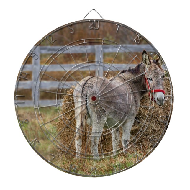 Donkey Schwanz Dartscheibe (vorne)