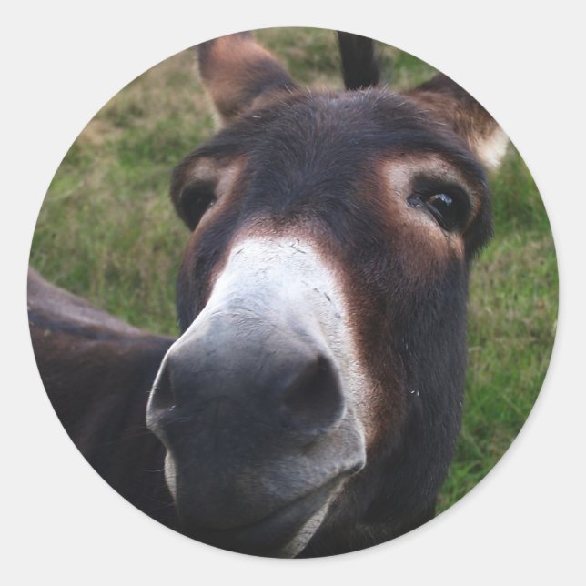 Donkey-Sticker lächeln Runder Aufkleber (Vorderseite)