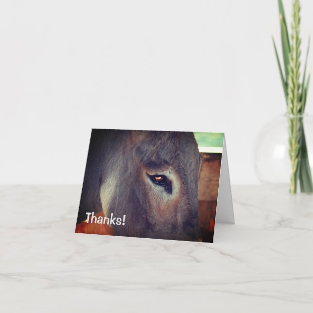 Donkey Thoughts Carte de remerciements animal de f (Devant)