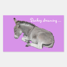 Donkey träumt niedliches Eselfohlen