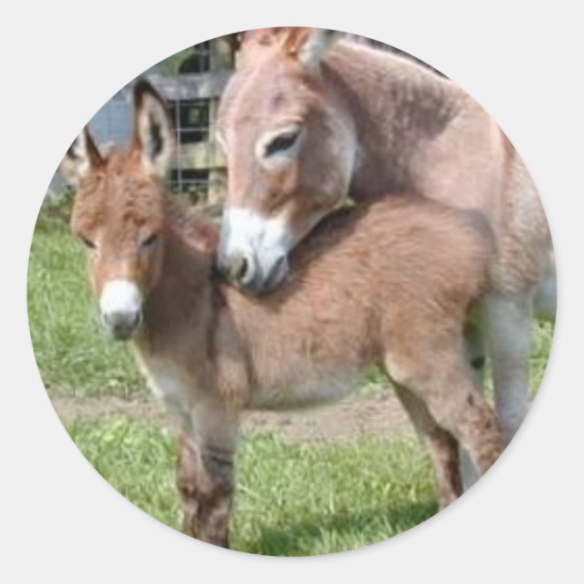 Donkey und Baby Runder Aufkleber (Vorderseite)
