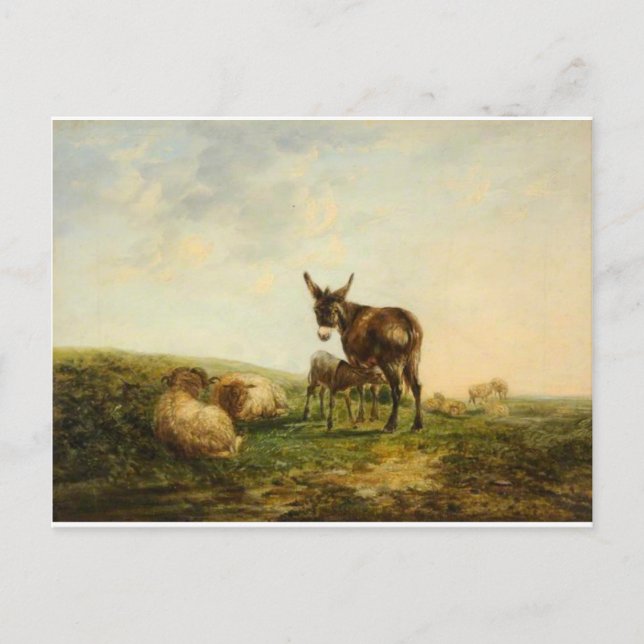 Donkey und Sheep von William Shayer Postkarte (Vorderseite)