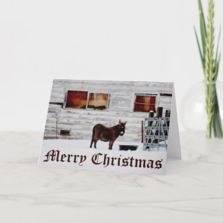 Donkey Weihnachtskarte Feiertagskarte