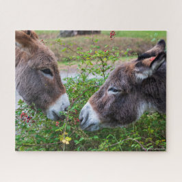 Donkeys, 520 Pcs,