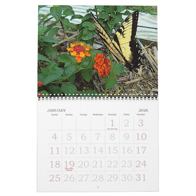 Donna's Garden 2007 Kalender (Jan 2026)
