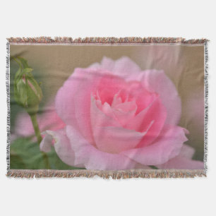 Donnerschlag/Rosa Rose Decke