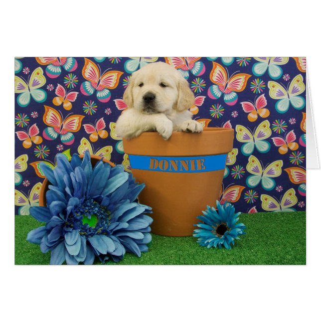 Donnie, Foto der Woche 5 (Vorderseite (Horizontal))