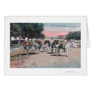 Dons chargés dans la rueLas Vegas, NM