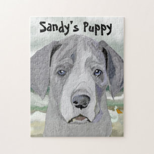 "Don't Give up" Adorable Great Dane Puppy