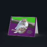 Don't have hat 80th Birthday Your! Feiertagskarte<br><div class="desc">Go ahead and celebrate your birthday with some cat-I-erd.  You deserve it.  You are the cat's meow.</div>