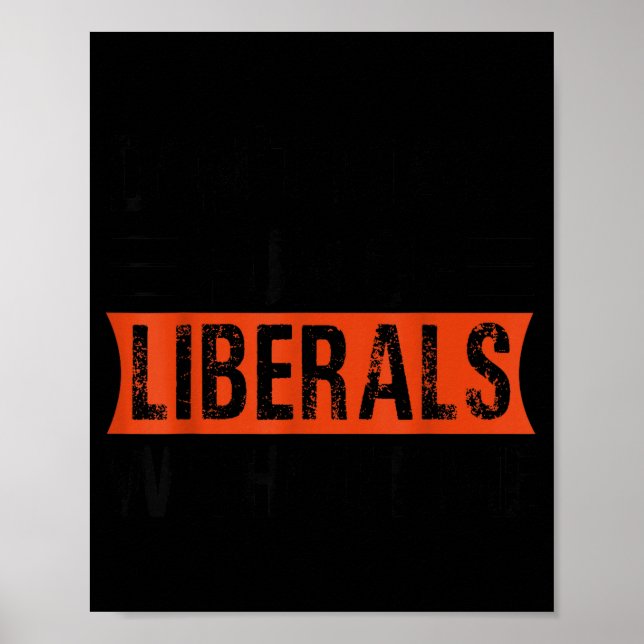 Don't Make Fun Of Liberals Without Me Funny Litica Poster (Vorne)