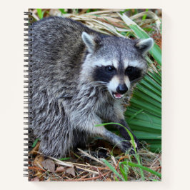 Don't Mind Me, Just Passing Through Notizbuch