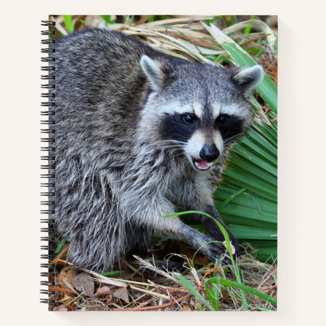 Don't Mind Me, Just Passing Through Notizbuch (Vorderseite)