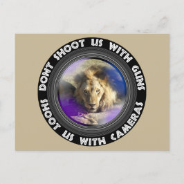 Dont Shoot Us Wildlife Conservation Lion Stare Feiertagspostkarte