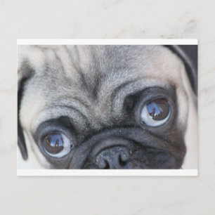 Doobie-Augen Postkarte