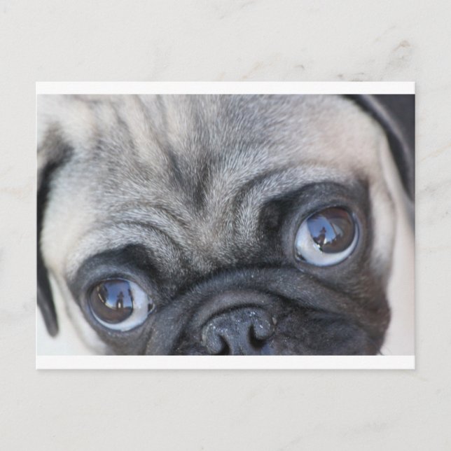 Doobie-Augen Postkarte (Vorderseite)