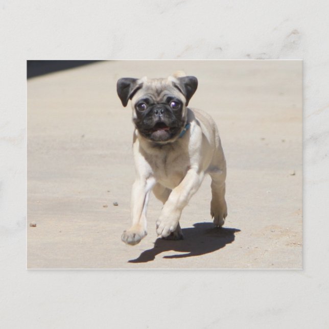 Doobie Runnin' Postkarte (Vorderseite)