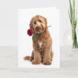 Doodle Dog zum Valentinstag Karte