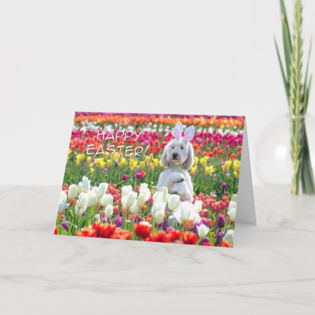 Doodle Happy Oaster Card Karte (Vorderseite)