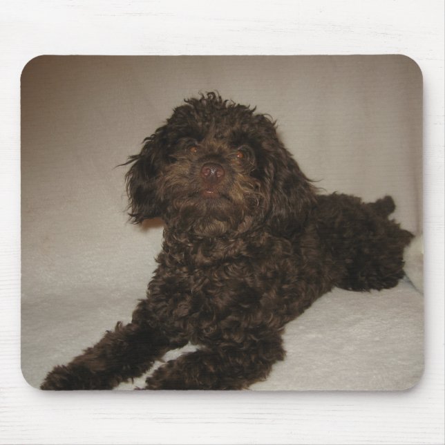 doogy mousepad (Vorne)