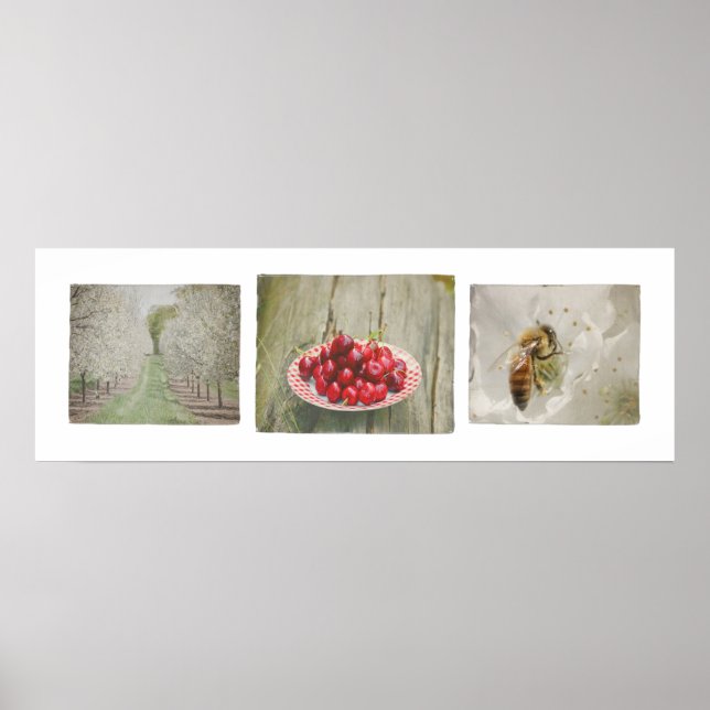 Door Landkreis Cherry Trio Poster (Vorne)