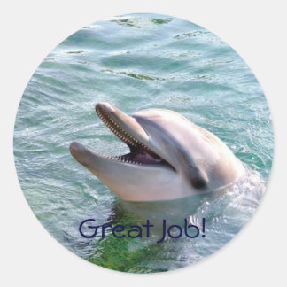 Dophin School Binder Teacher Rewards-Aufkleber Runder Aufkleber