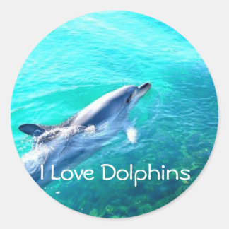 Dophin School Binder Teacher Rewards-Aufkleber Runder Aufkleber