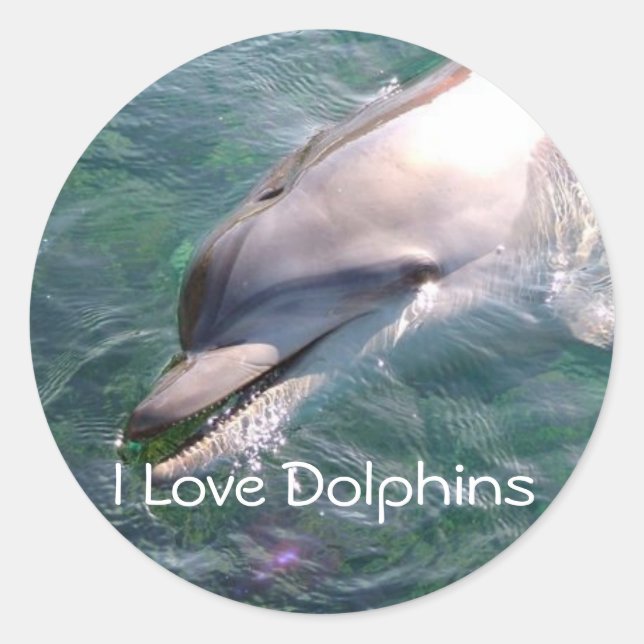 Dophin School Teacher Rewards-Sticker Runder Aufkleber (Vorderseite)