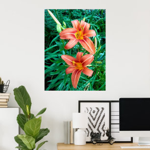 Doppel-Daglilie Orange-Blumen-Foto-Poster Poster
