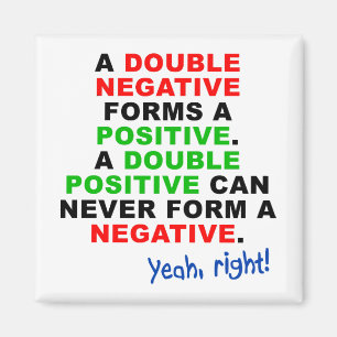 Doppel-Negativ-Positiver-Lustiger-Kühlschrankmagne Magnet
