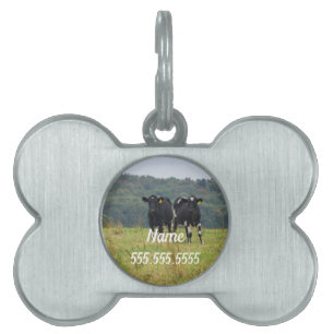 Doppel-Rinder-Trouble-Pet-ID Tiermarke