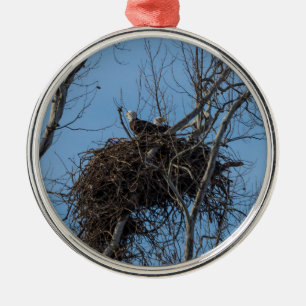 Doppeladlerproblem Ornament Aus Metall