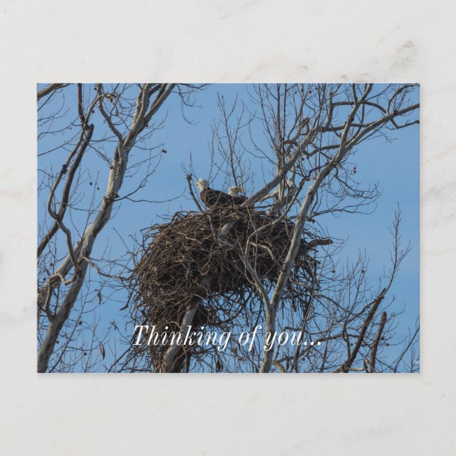 Doppeladlerproblem Postkarte (Vorderseite)