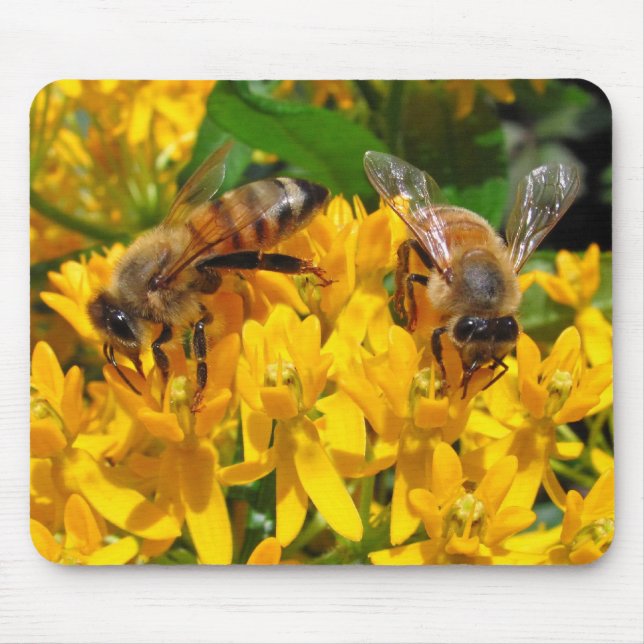 Doppelbienen ~ mousepad (Vorne)