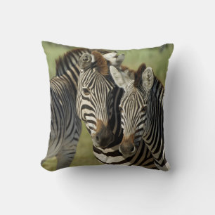 DOPPELBILD VON ZEBRA DURCH PILLOW KISSEN