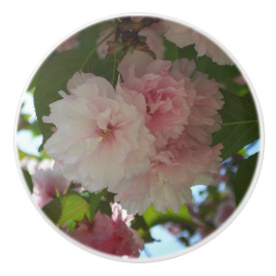 Doppelblühende Kirschbaum I Frühjahrsblüte Keramikknauf