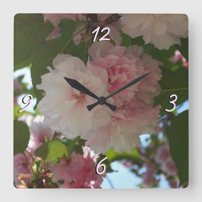 Doppelblühende Kirschbaum I Frühjahrsblüte Quadratische Wanduhr (Vorderseite)