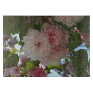 Doppelblühende Kirschbaum I Frühjahrsblüte Schneidebrett